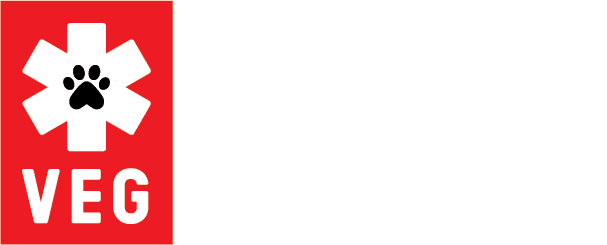Puppy and Cat Friendly Corporate Headshots 12 VEG logo updated header