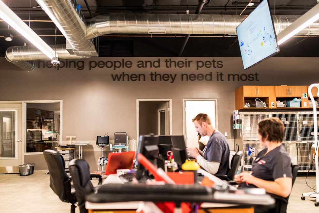 Puppy and Cat Friendly Corporate Headshots 22 Puppy and Cat Friendly Corporate Headshots